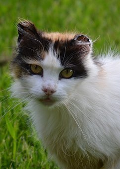 92