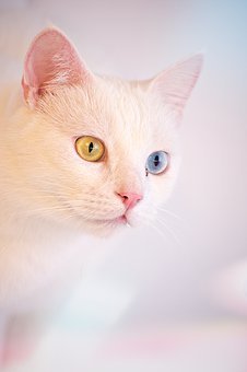149